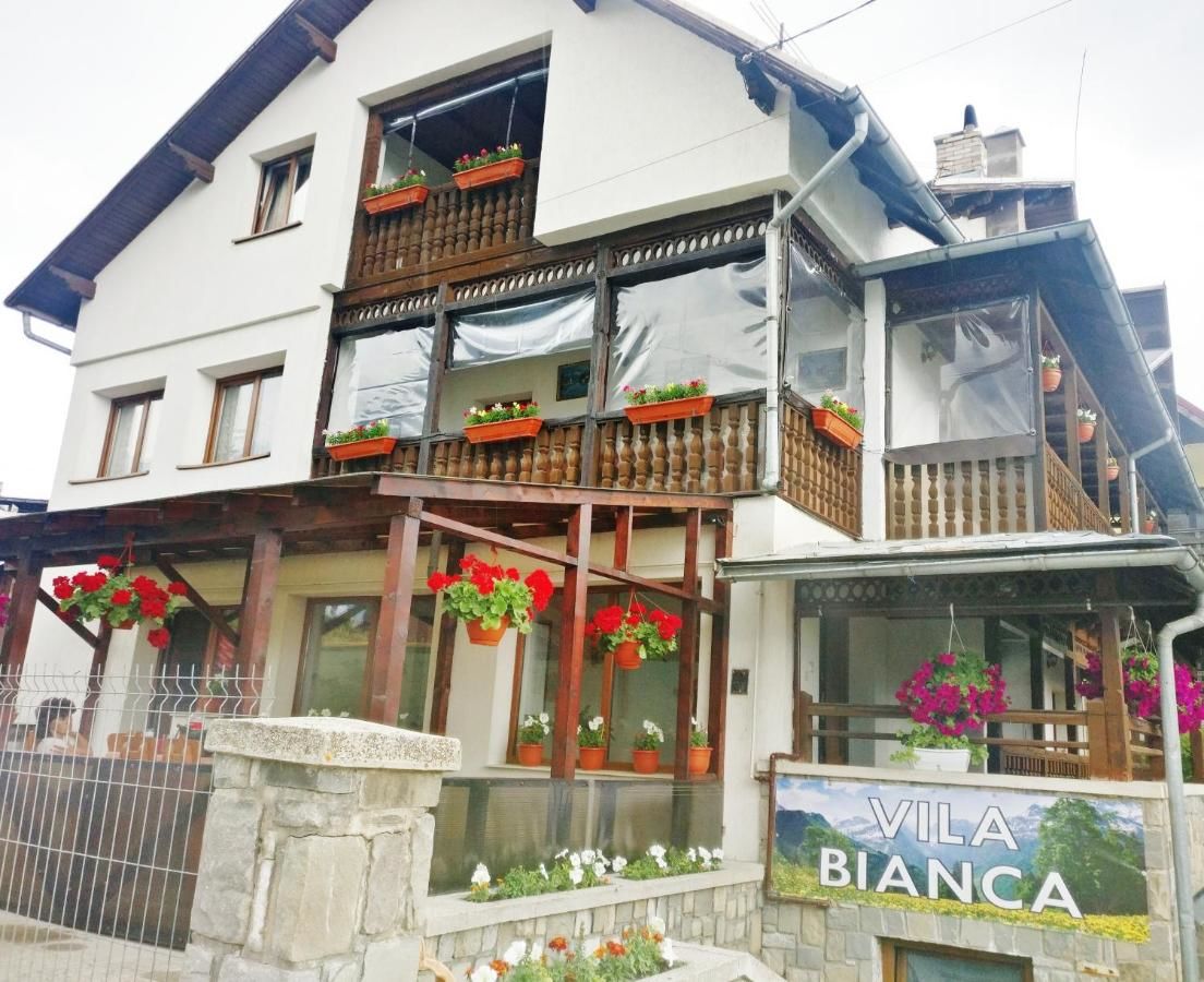 Отель Bianca House Буштени-4
