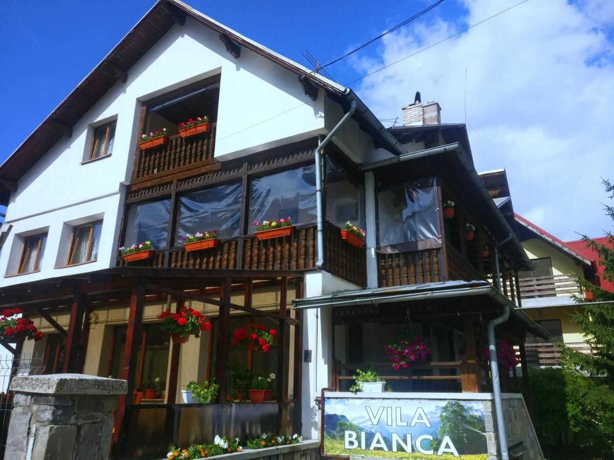 Отель Bianca House Буштени-15