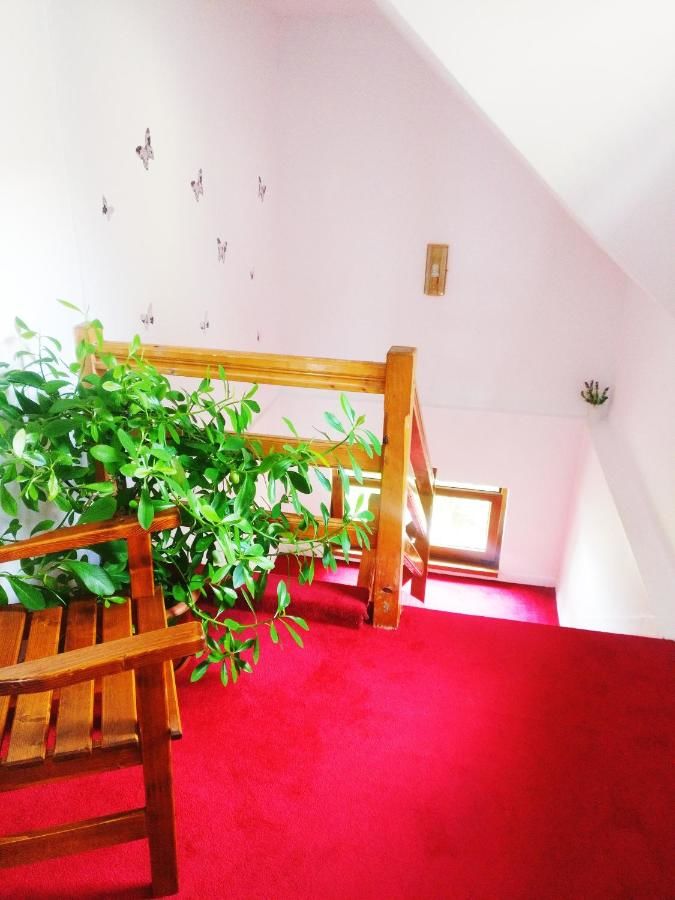 Отель Bianca House Буштени-21