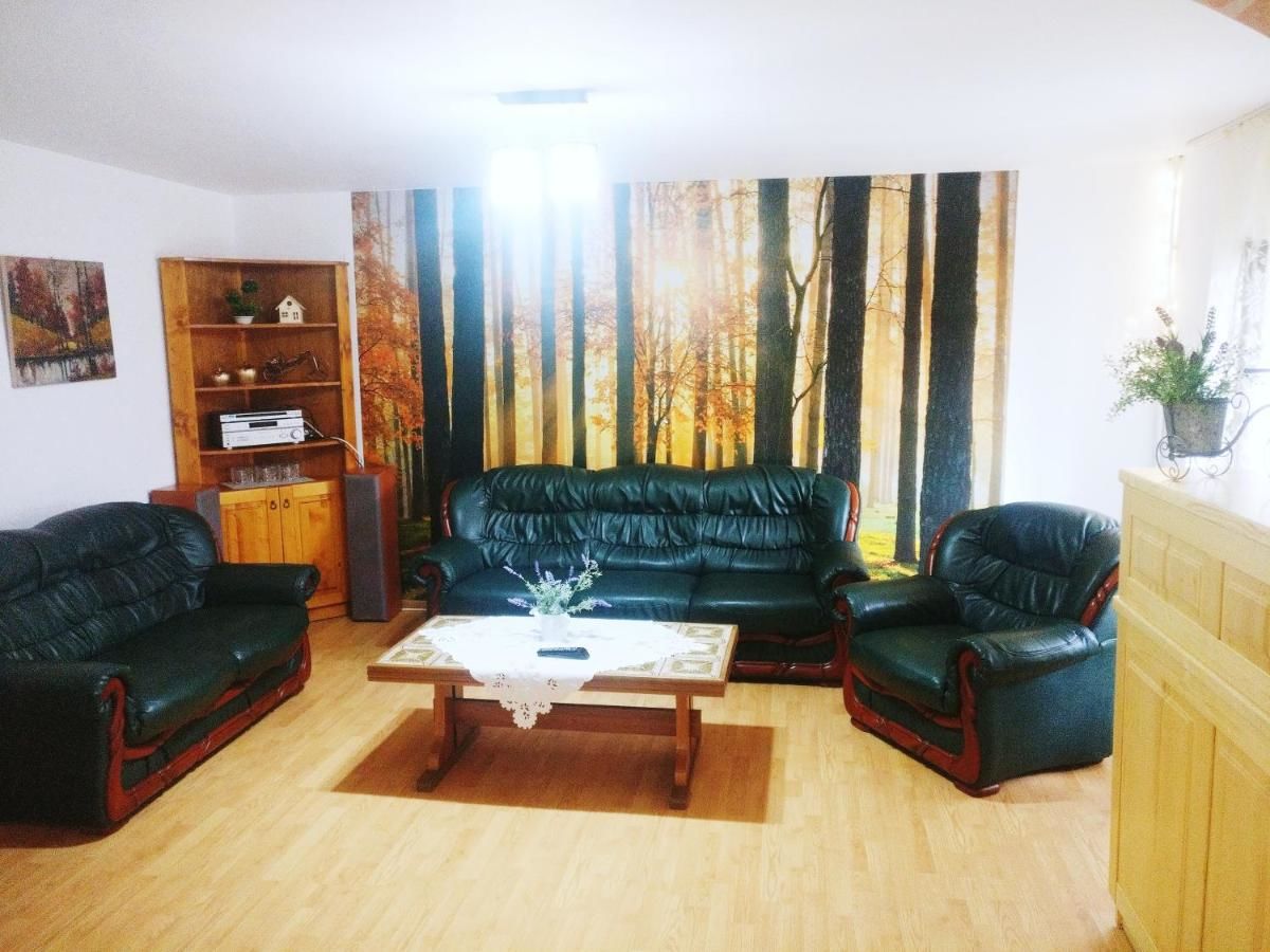 Отель Bianca House Буштени-26